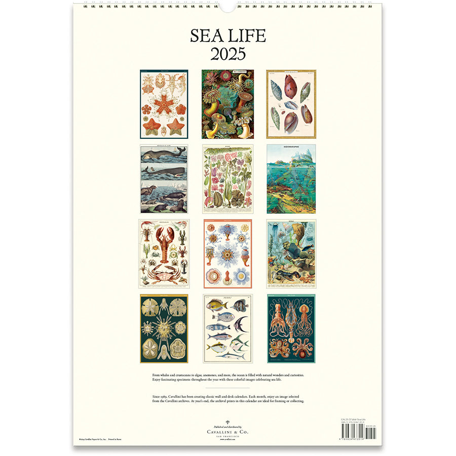 Sea Life 2025 Wall Calendar – Charleston Street