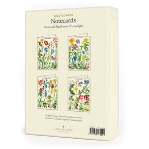 Wildflowers Boxed Notes