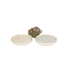 Load image into Gallery viewer, Ae ceramics oysters
