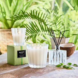 Nest Coconut & Palm 3-Wick Candle classic candle and reed diffuser