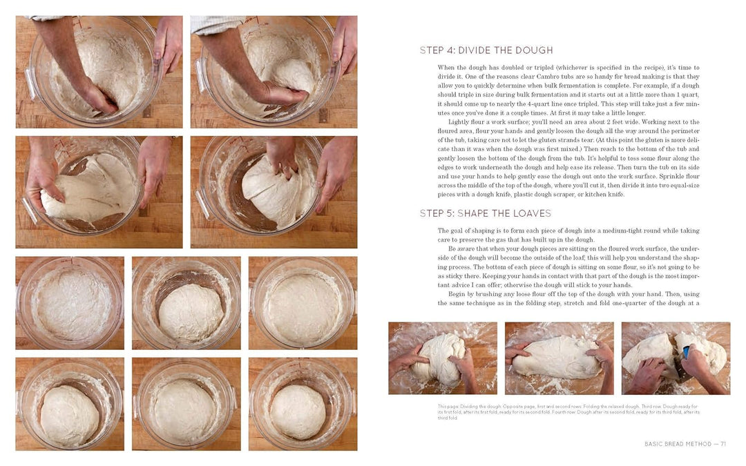 Flour Water Salt Yeast The Fundamentals of Artisan Bread and Pizza by Ken Korrish bread basics