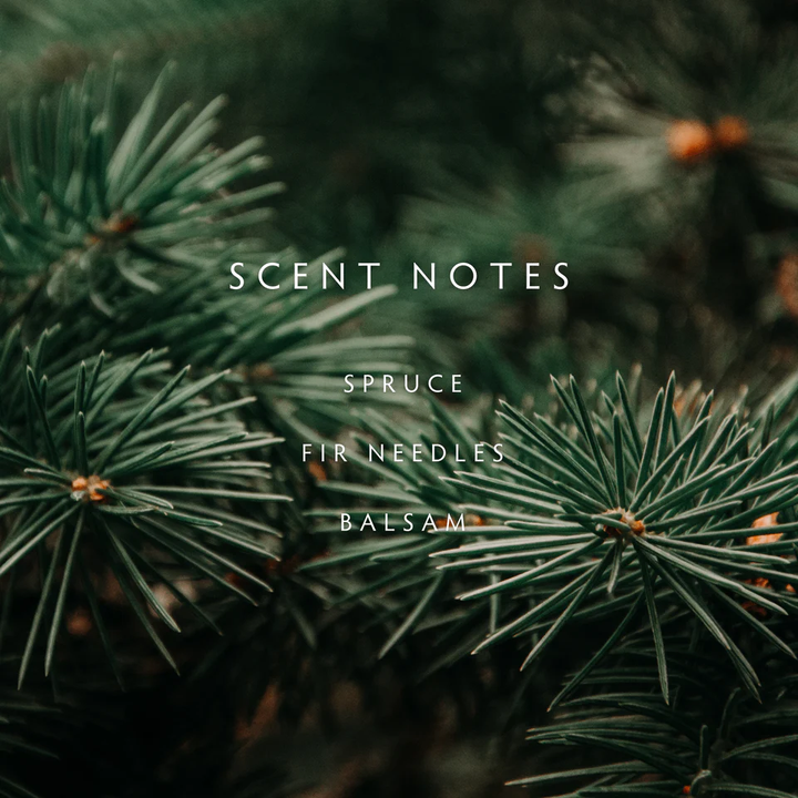 Close-up of pine needles with 'Scent Notes' text overlay
