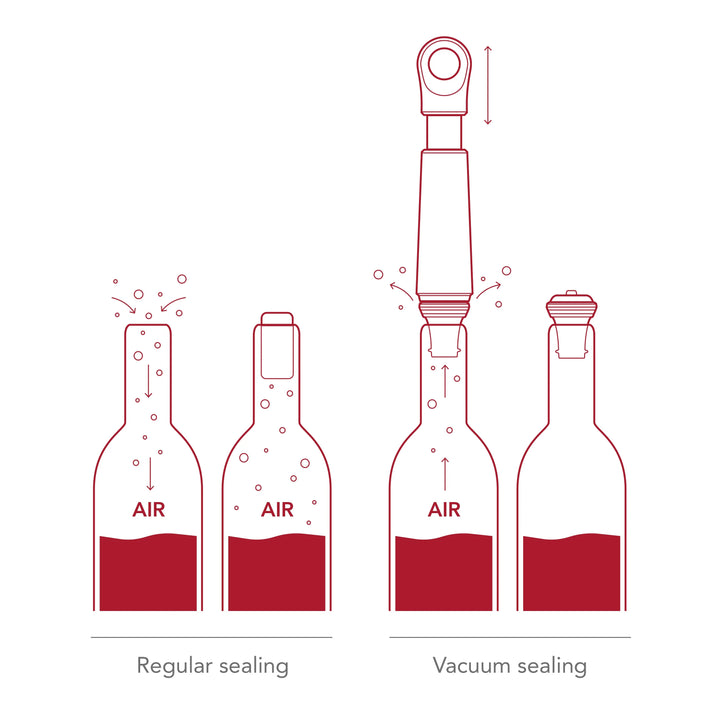 Diagram comparing regular sealing and vacuum sealing of bottles with red wine