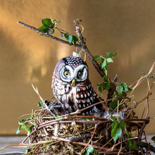 Load image into Gallery viewer, Woodland Owl Glass Ornament
