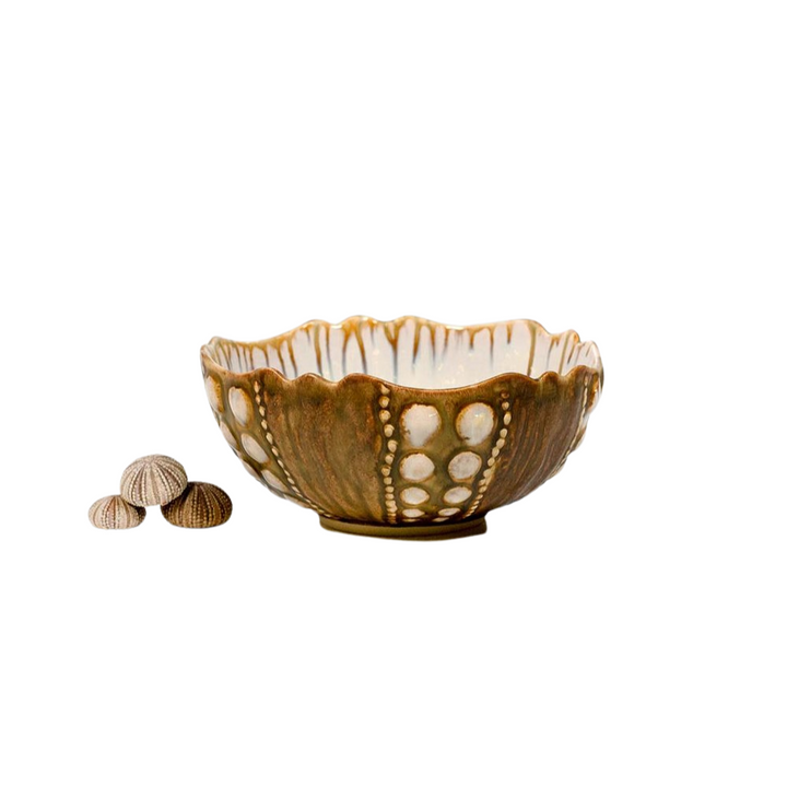 Ae Ceramics Sea Urchin Series Small Bowl in Abalone & Tortoise