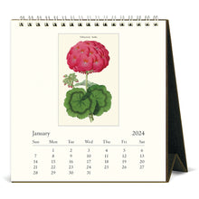 Load image into Gallery viewer, Botanica 2024 Desk Calendar
