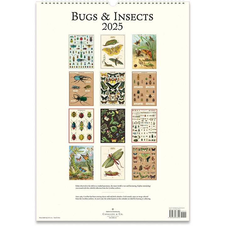 Bugs & Insects 2025 Wall Calendar