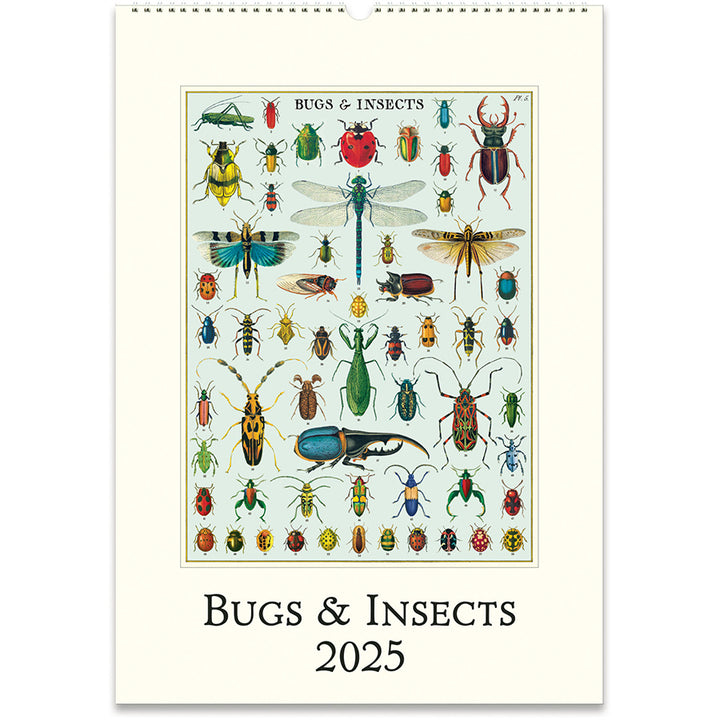 Bugs & Insects 2025 Wall Calendar