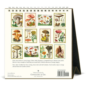 Foraging 2025 Desk Calendar