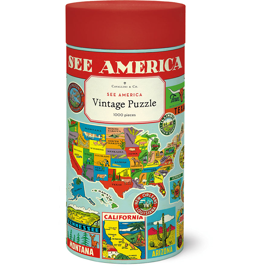 cavallina and co puzzle see america in tube container