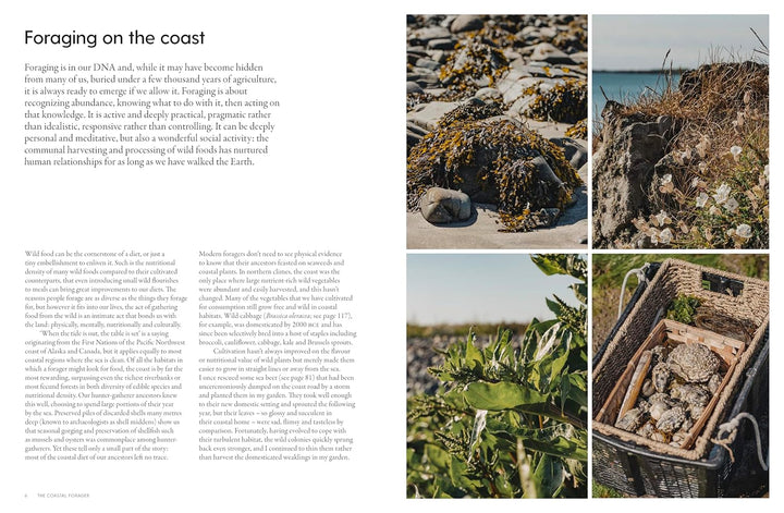 Book page with text and images of coastal foraging activities.