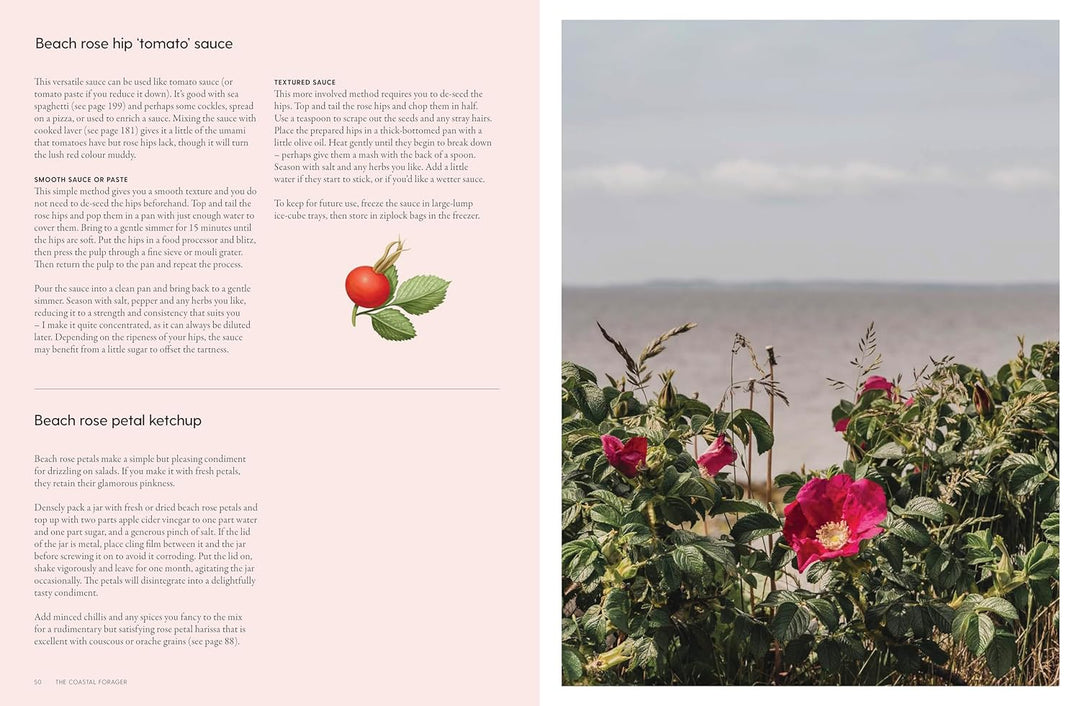 Book page with a method of making beach rose hip sauce and images of beach rose hip flowers and tomato.