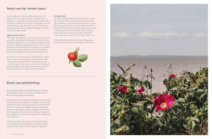 Book page with a method of making beach rose hip sauce and images of beach rose hip flowers and tomato.