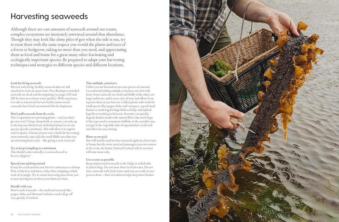 Person harvesting seaweeds with a basket, text on the left side.