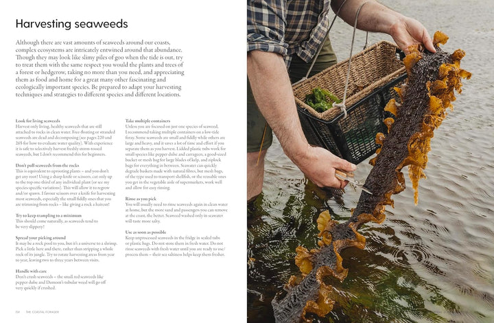 Person harvesting seaweeds with a basket, text on the left side.