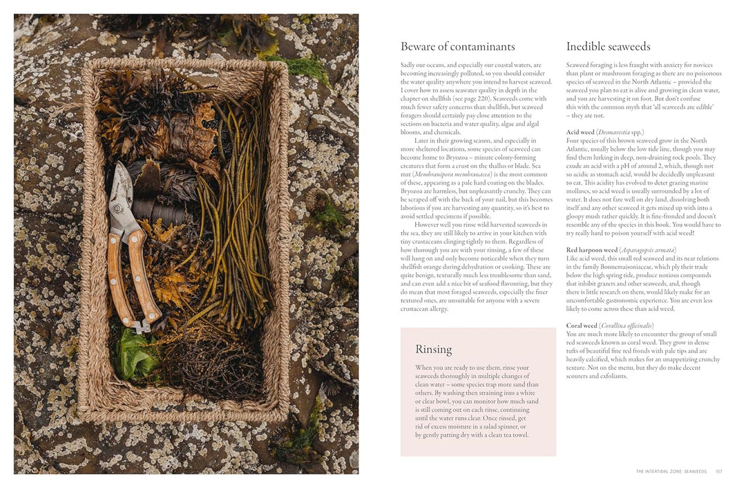 Basket with seaweed and other items on a barnacle surface, next to text about indelible seaweeds.