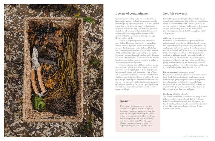 Basket with seaweed and other items on a barnacle surface, next to text about indelible seaweeds.