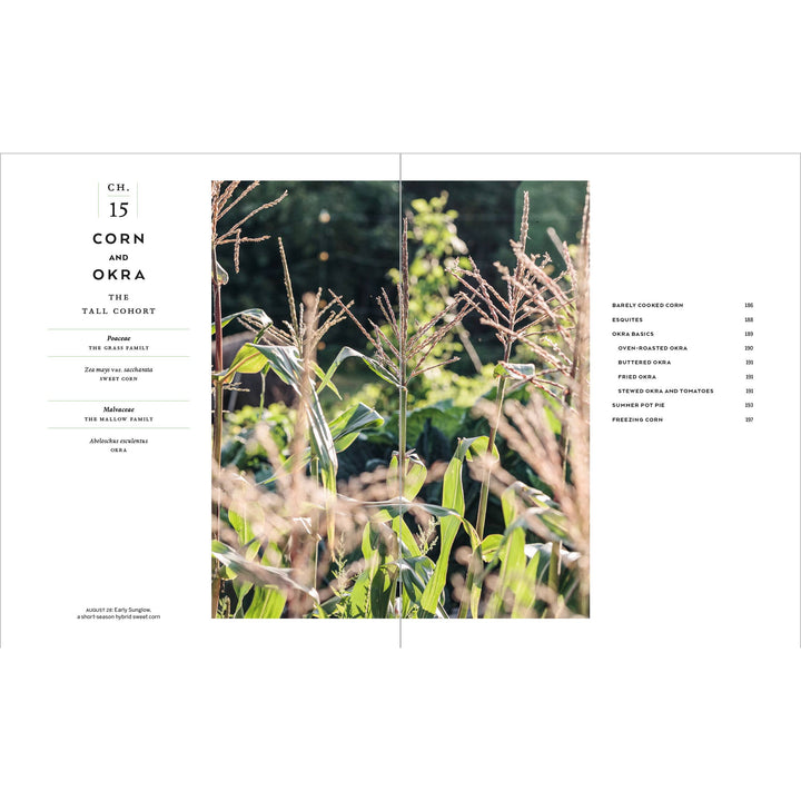 Book page with corn plants and text on a white background