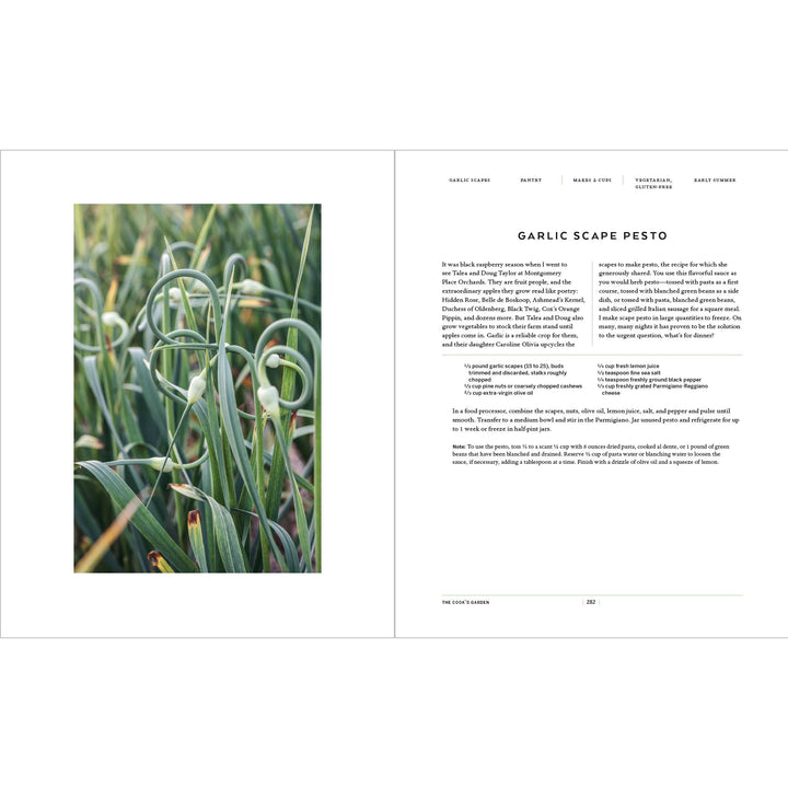 Page from a cookbook featuring garlic scape pesto recipe with an image of garlic scapes on the left.
