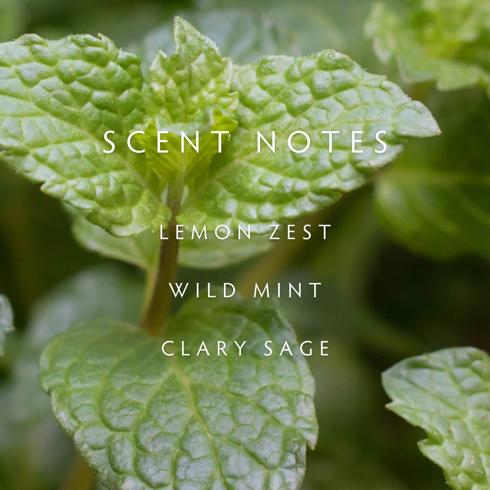 Close-up of green leaves with text 'SCENT NOTES LEMON ZEST WILD MINT CLARY SAGE' on a blurred green background