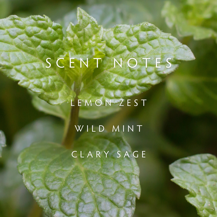 Close-up of green leaves with text 'SCENT NOTES LEMON ZEST WILD MINT CLARY SAGE' on a blurred green background