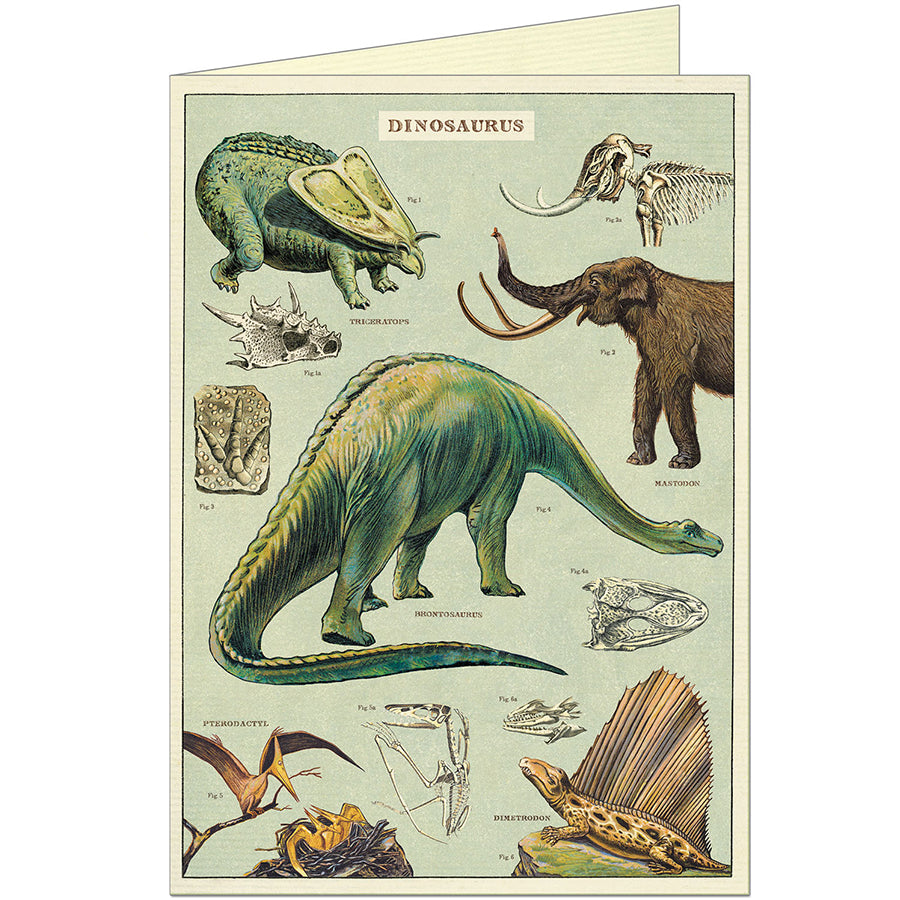 Dinosaurs Greeting Card