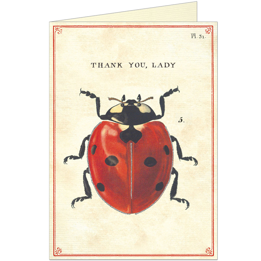 Thank You Lady Greeting Card