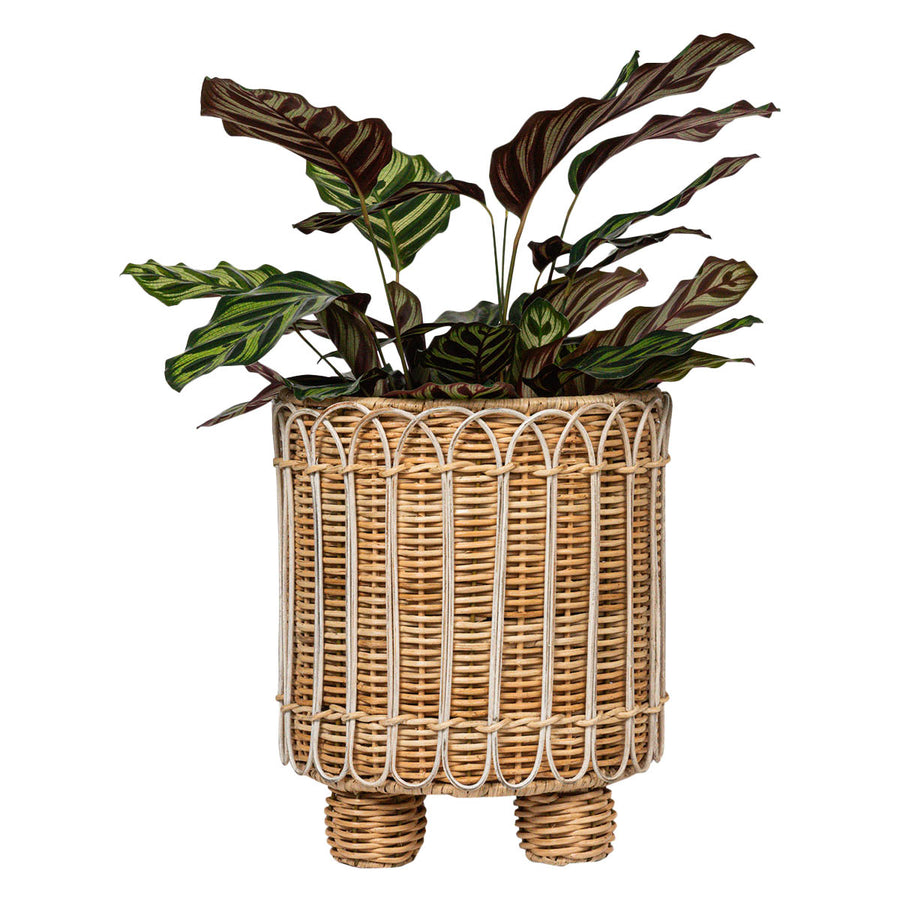 Juliska Provence Rattan Whitewash Round Planter with plant