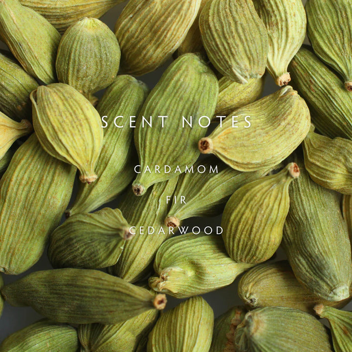 Linnea & Co. Cedar Cardamom 2-Wick Candle