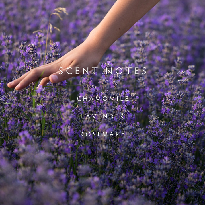 A scent notes profile of chamomile, lavender, and rosemary with an imageof a lavender field with someones hand gently brushing over the flowers 