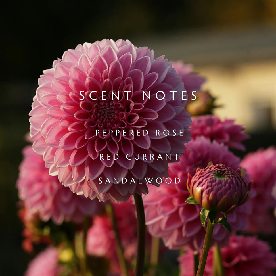 Linnea & Co. Dahlia 2-Wick Candle