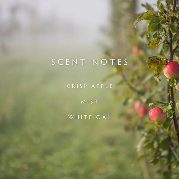 Linnea & Co. Fog 2-Wick Candle