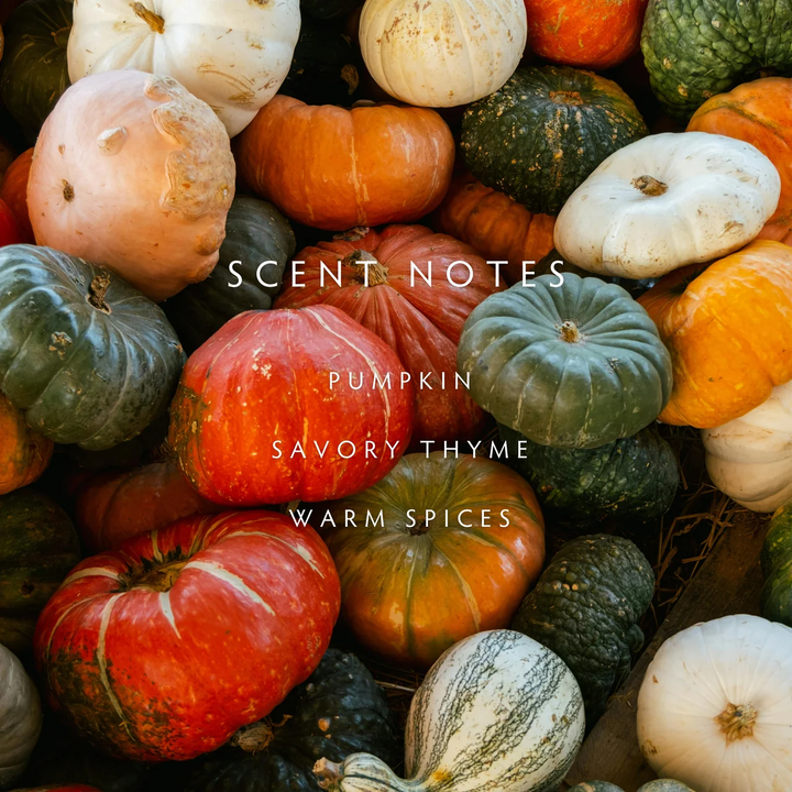 Linnea & Co. Harvest Pumpkin 2-Wick Candle