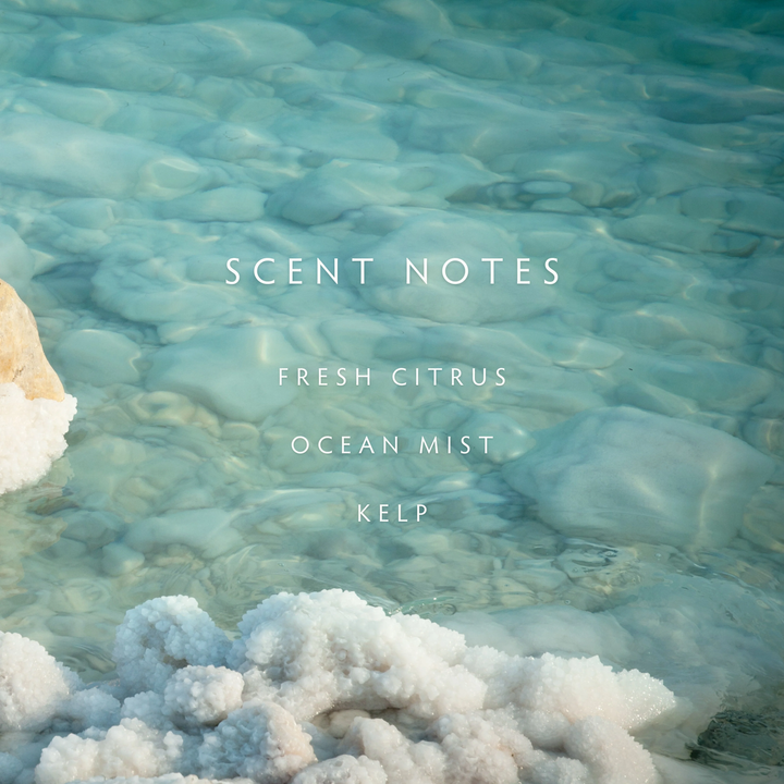 A photo of a salty sea with the words "scent notes, fresh citrus, ocean mist, kelp" overlaid