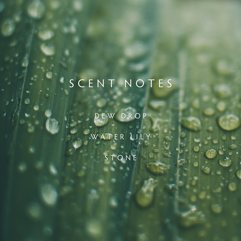 Close-up of water droplets on green leaves with 'Scent Notes - Dew Drop, Water Lily, Stone' text overlay.