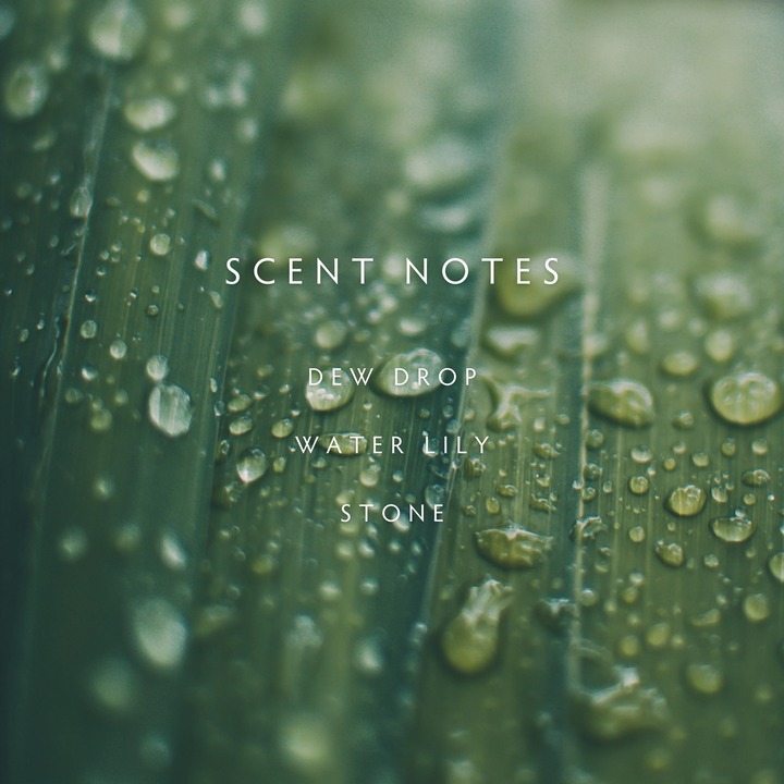 Close-up of water droplets on green leaves with 'Scent Notes - Dew Drop, Water Lily, Stone' text overlay.