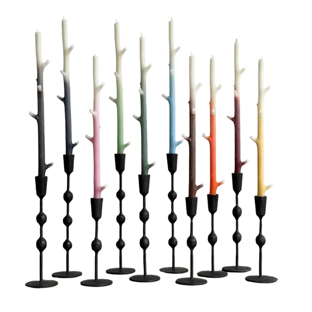 Set of colorful branch shaped candles in black holders on a white background