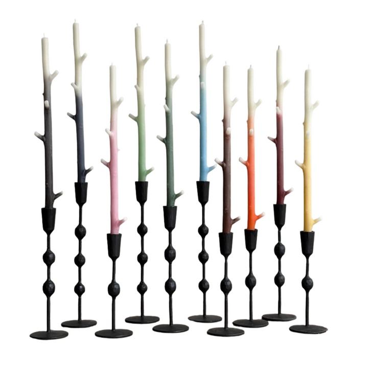Set of colorful branch shaped candles in black holders on a white background