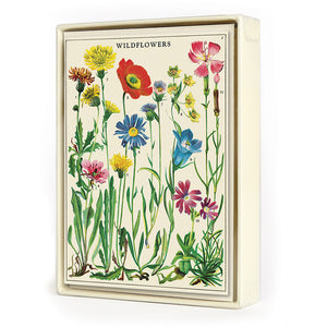Wildflowers Boxed Notes