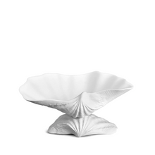Load image into Gallery viewer, small shite seashell bowl sitting on a seashell base

