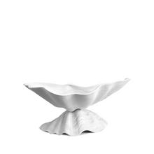 Load image into Gallery viewer, small shite seashell bowl sitting on a seashell base
