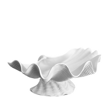 Load image into Gallery viewer, white seashell shaped bowl sitting a seashell base
