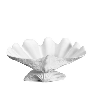 white seashell bowl sitting on a seashell base