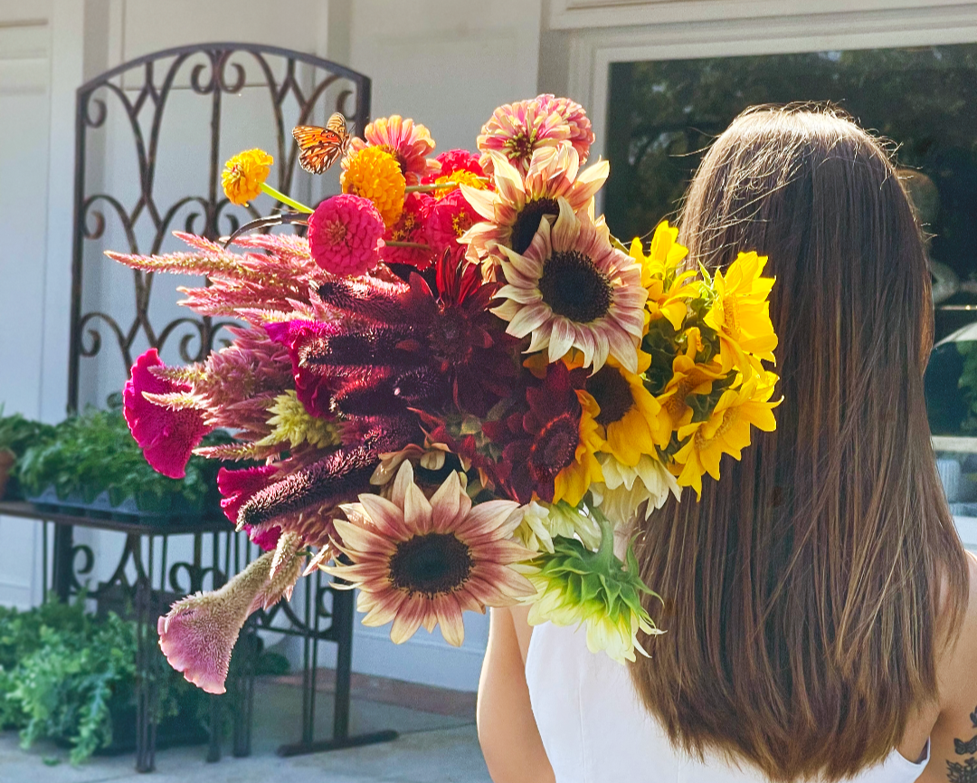 colorful fall flowers including sunflowers and zinnias being carried by a floral designer with a passionflower butterfly perched on a marigold.