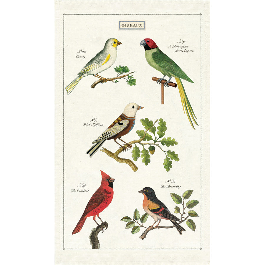 cavallini and co vintage tea towel  birds oiseaux