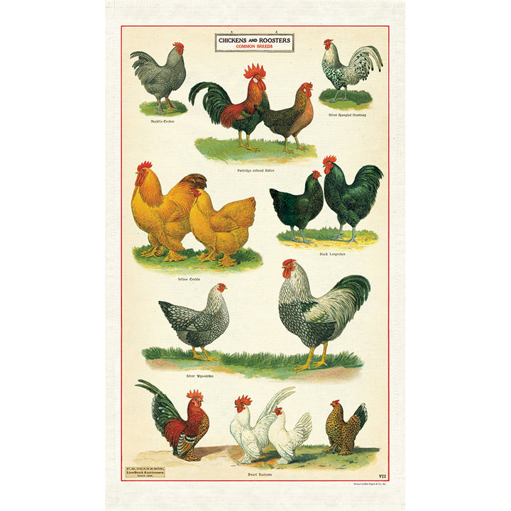 Cavallini and co vintage tea towel chickens and roosters common breeds