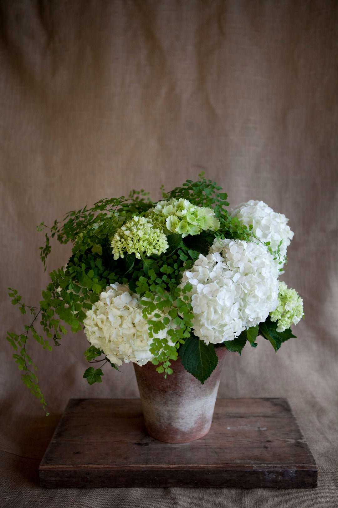 Charleston Street Potted Hydrangea Composition