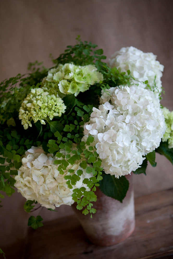 Charleston Street Potted Hydrangea Composition