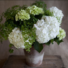 Load image into Gallery viewer, Charleston Street Potted Hydrangea Composition
