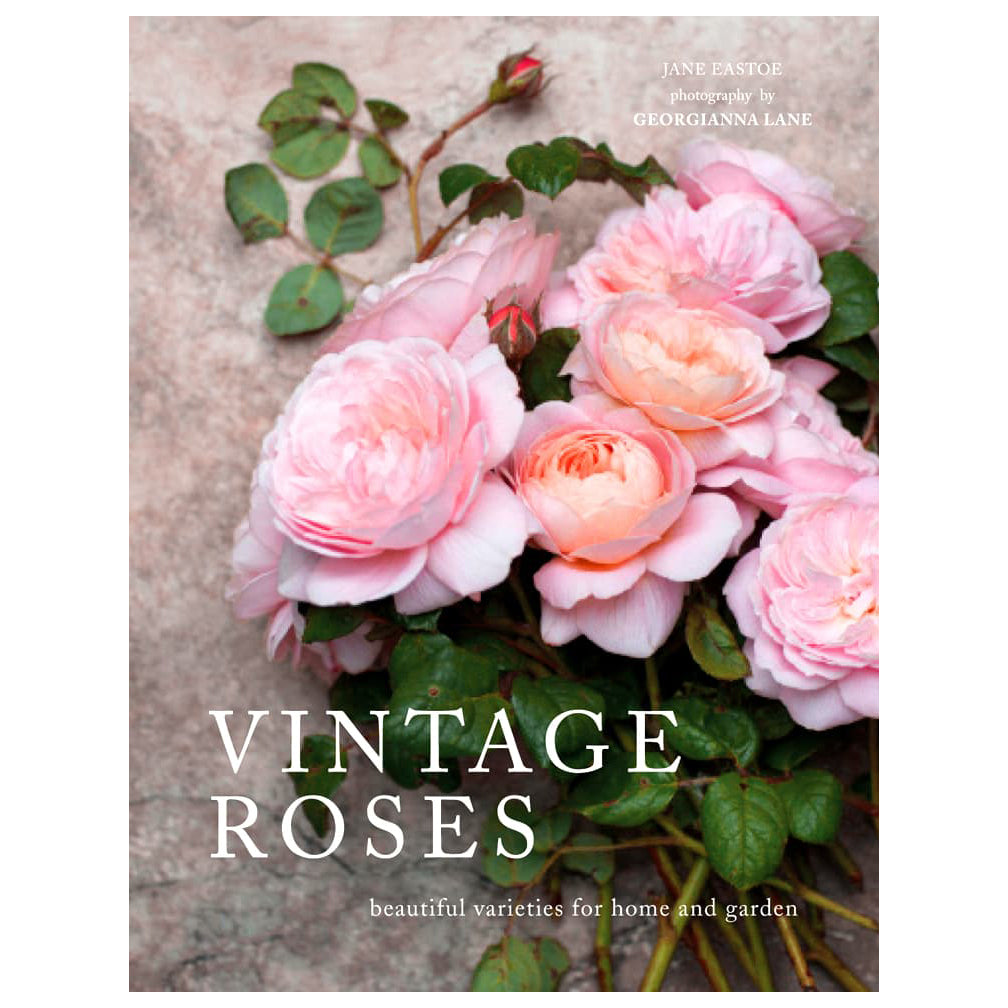 Vintage Roses